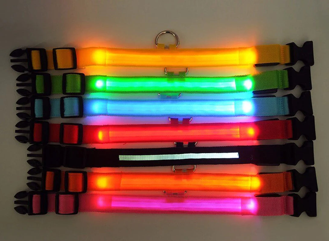 Adjustable Waterproof LED Dog Collar with Flashing Light for Improved Pet Safety