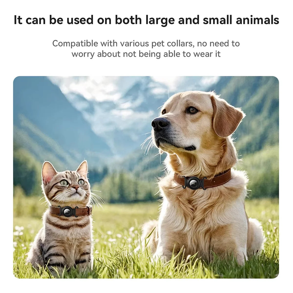 GPS Pet Tracker – No Monthly Fees, Compatible with Apple Find My for Dogs and Cats