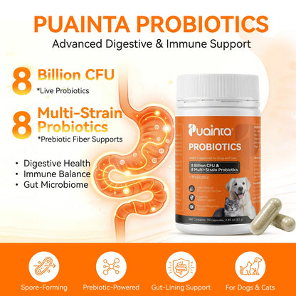 Puainta Probiotics for Dogs and Cats: 8 Billion CFU Digestive and Immune Support with Multi-Strain Spore-Forming Formula, Prebiotics, Gut-Lining Support, and Skin Health for Sensitive Stomachs