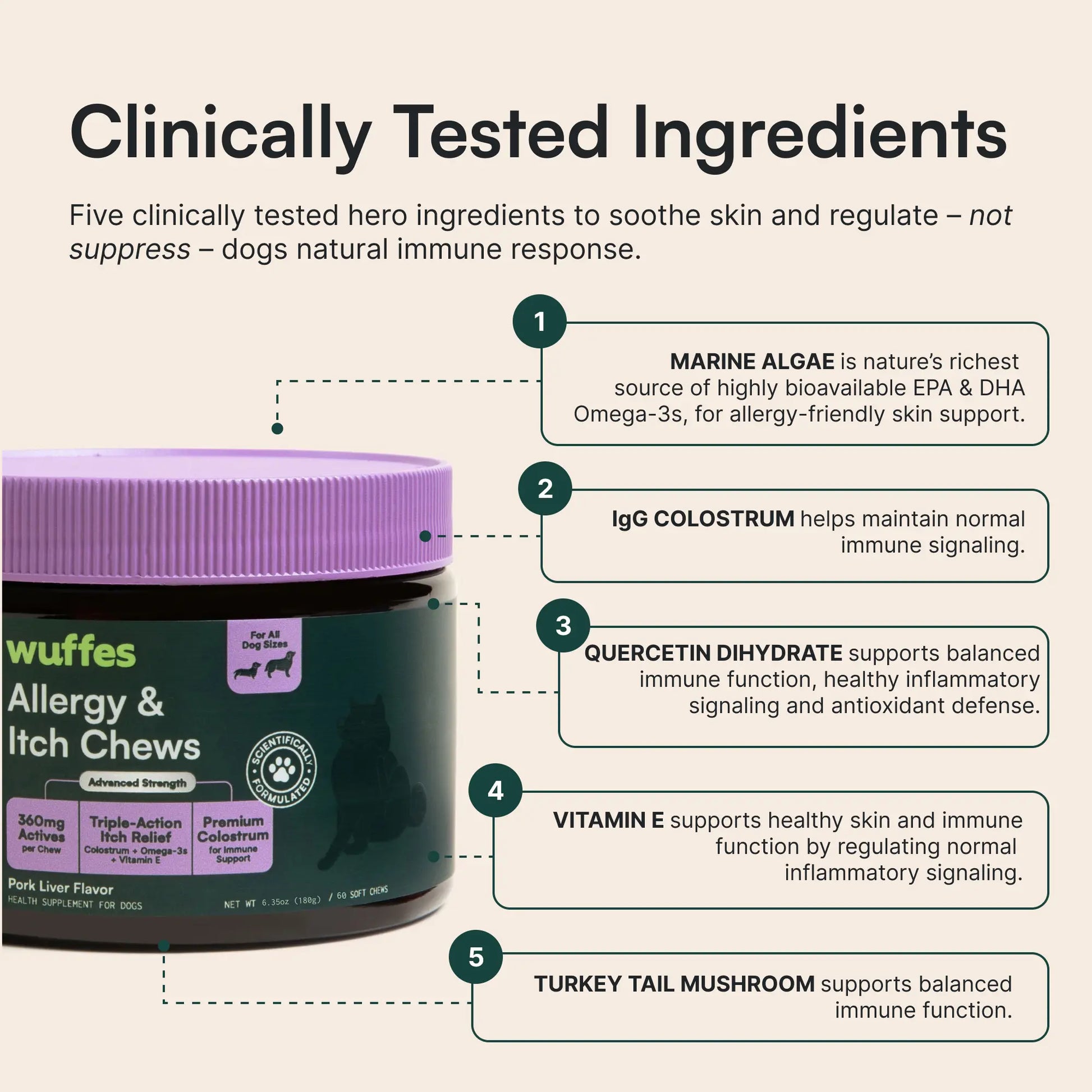 Wuffes Allergy & Itch Chews for Dogs - Skin & Immune Support Supplement for Seasonal Allergies & Itch Relief - All Breeds & Ages - MADE in USA -