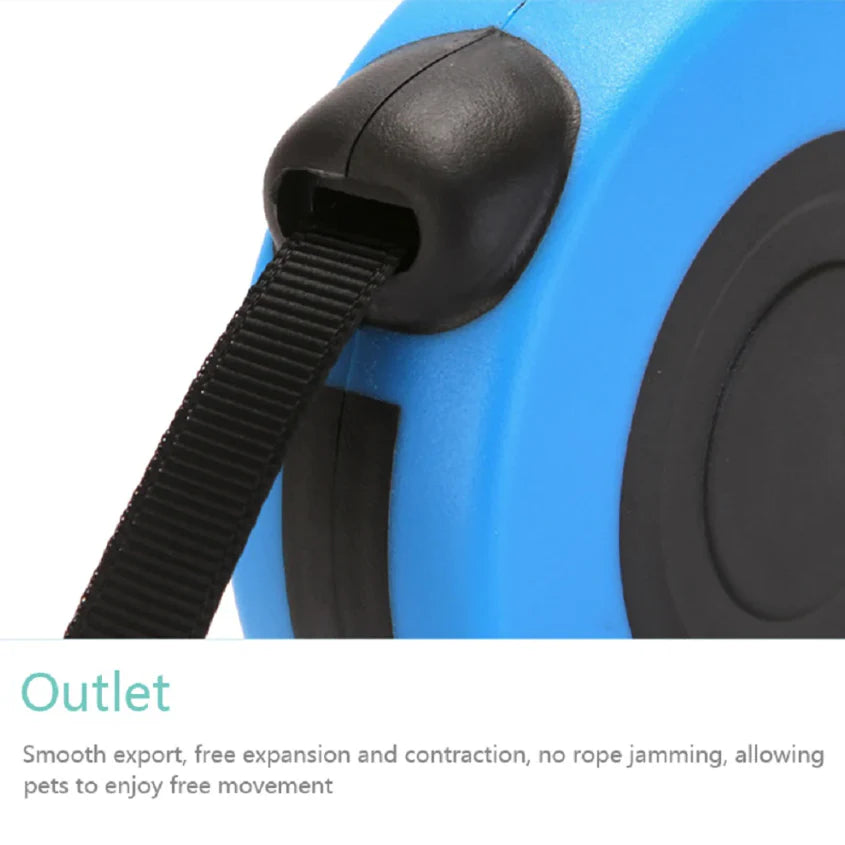 16.5FT Automatic Retractable Dog Leash with Pet Collar - Hands-Free Walking Solution, Complimentary Shipping within the US