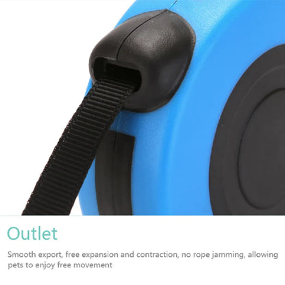 16.5FT Automatic Retractable Dog Leash with Pet Collar - Hands-Free Walking Solution, Complimentary Shipping within the US
