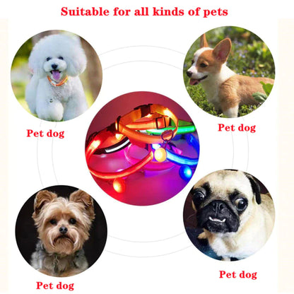 Adjustable Waterproof LED Dog Collar with Flashing Light for Improved Pet Safety
