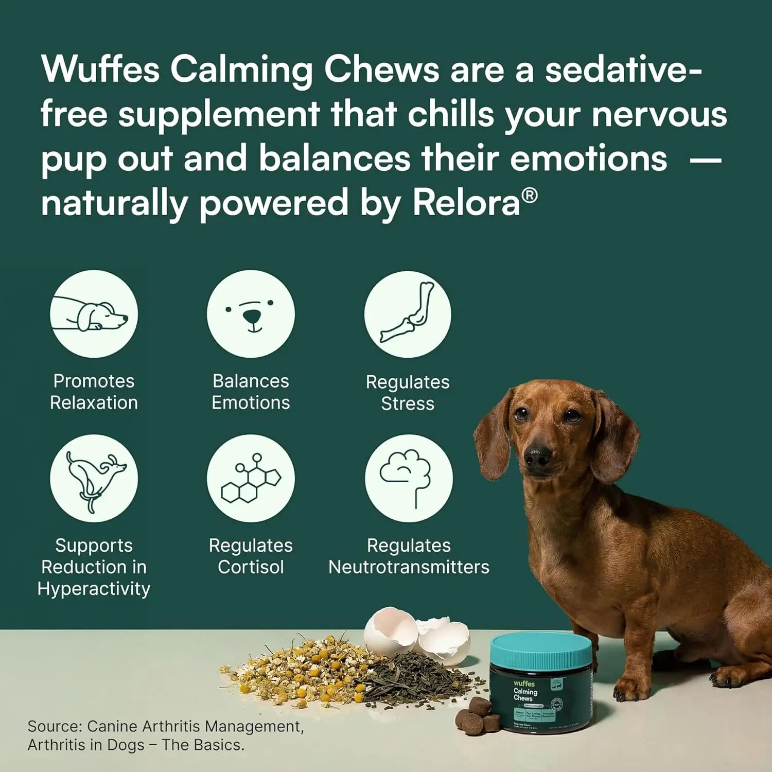 Wuffes Calming Chews for Dogs - Stress Relief Supplement - Non-Drowsy Formula for All Breeds - Made in the USA - 60 Soft Chews