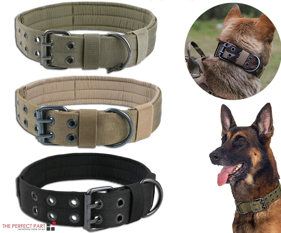 Heavy-Duty 2-Inch Nylon Tactical Dog Collar for Large Breeds with Metal Buckle