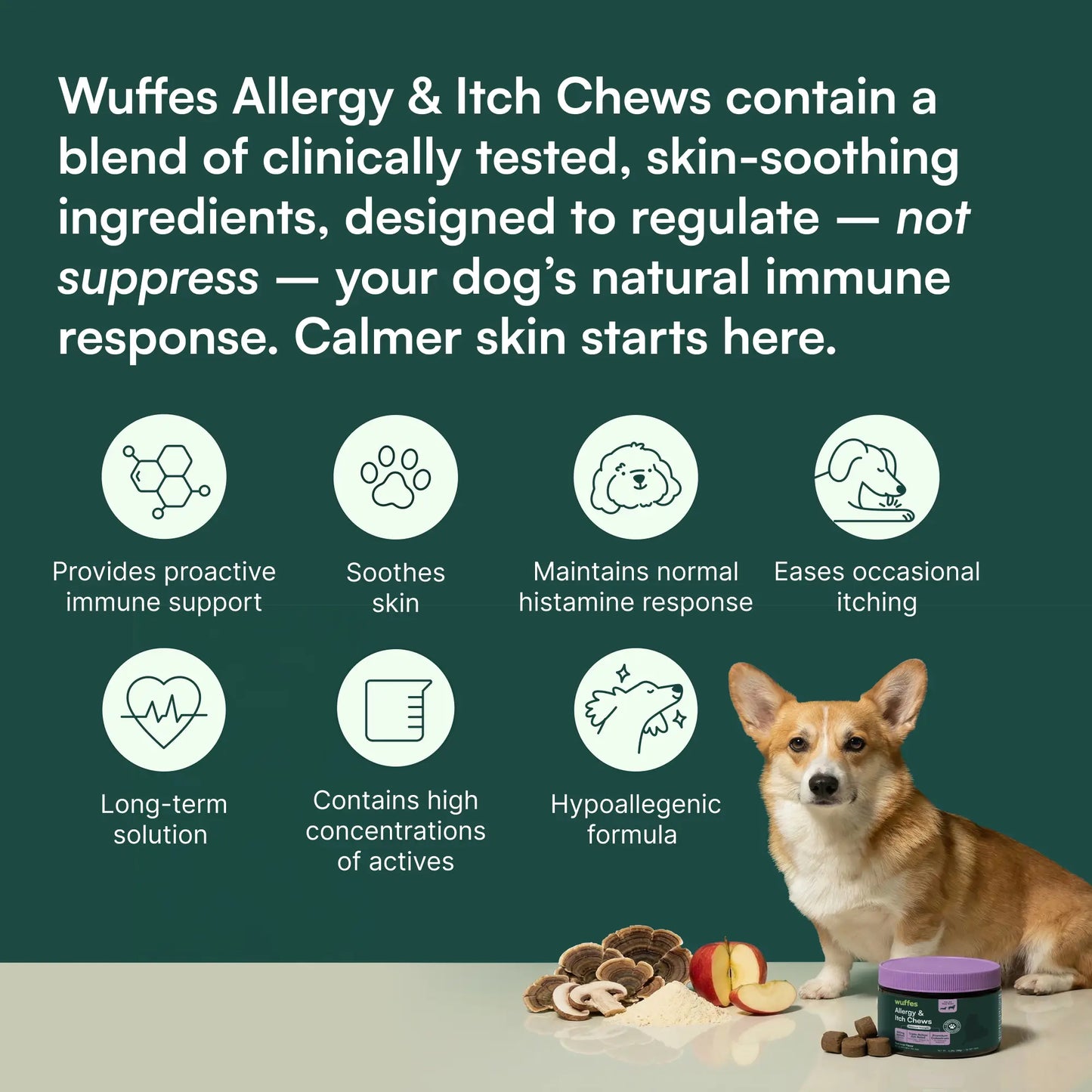 Wuffes Allergy & Itch Chews for Dogs - Skin & Immune Support Supplement for Seasonal Allergies & Itch Relief - All Breeds & Ages - MADE in USA -