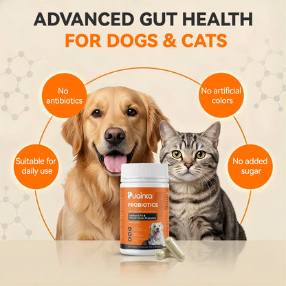 Puainta Probiotics for Dogs and Cats: 8 Billion CFU Digestive and Immune Support with Multi-Strain Spore-Forming Formula, Prebiotics, Gut-Lining Support, and Skin Health for Sensitive Stomachs