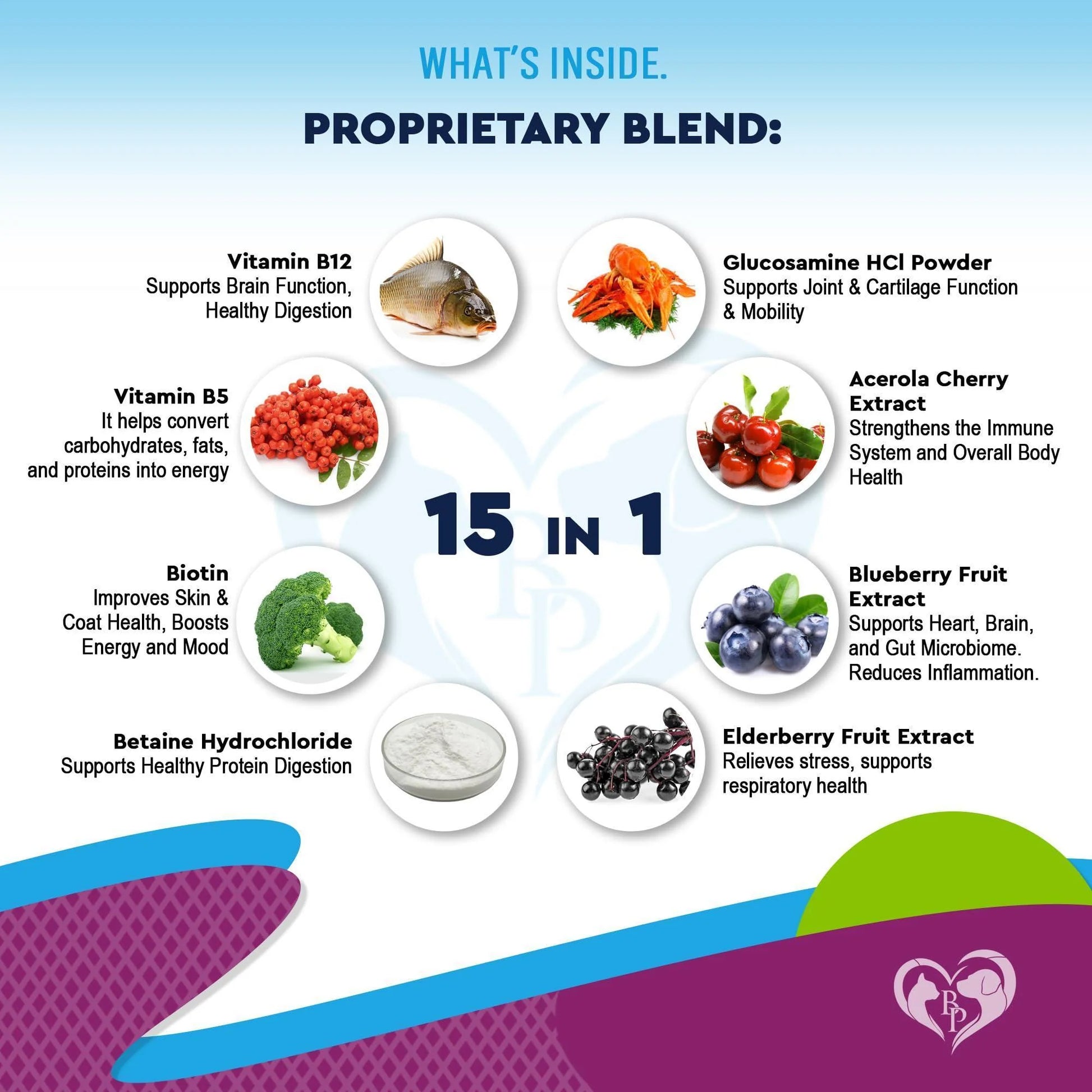 Premium Multivitamin Liquid Supplement for Cats and Dogs with Glucosamine and Cranberry Extract