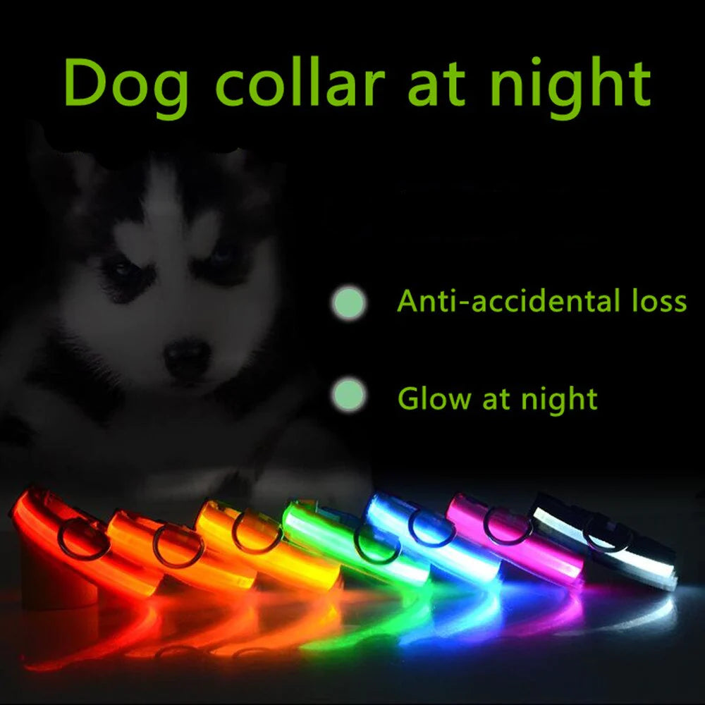 Adjustable Waterproof LED Dog Collar with Flashing Light for Improved Pet Safety