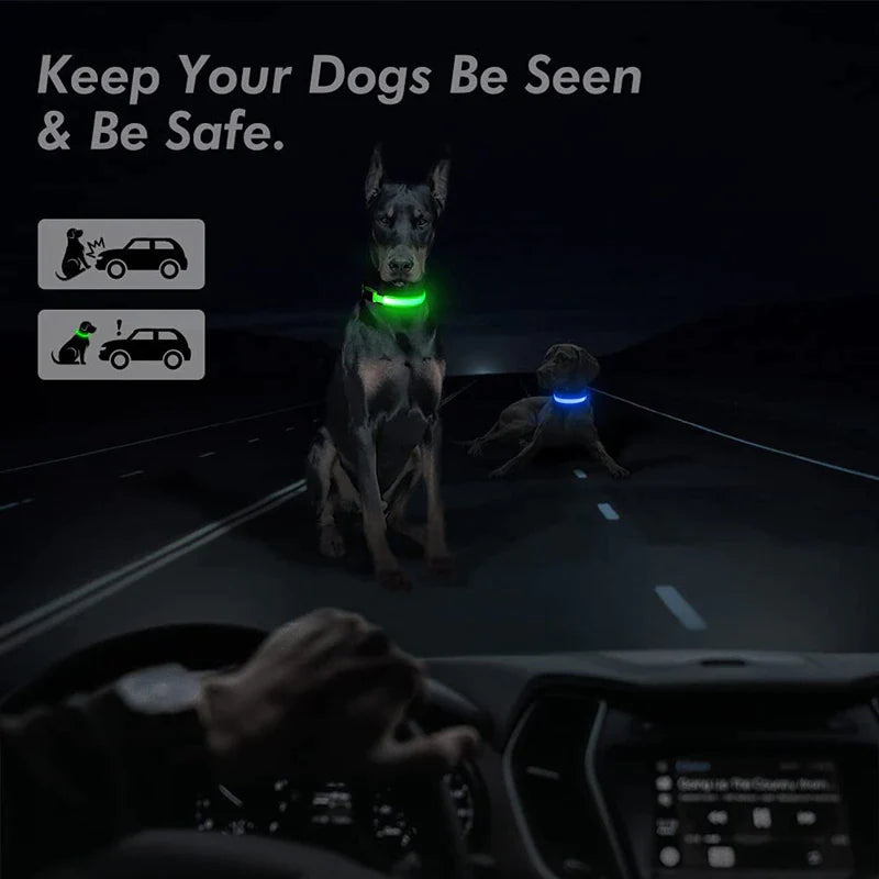 Adjustable Waterproof LED Dog Collar with Flashing Light for Improved Pet Safety