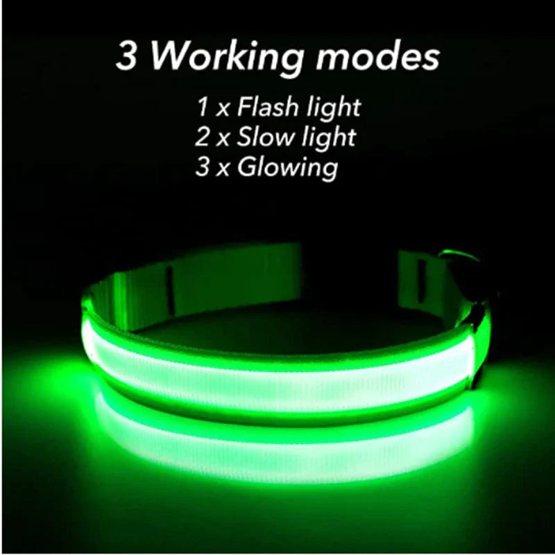 Adjustable Waterproof LED Dog Collar with Flashing Light for Improved Pet Safety