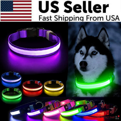 Adjustable Waterproof LED Dog Collar with Flashing Light for Improved Pet Safety