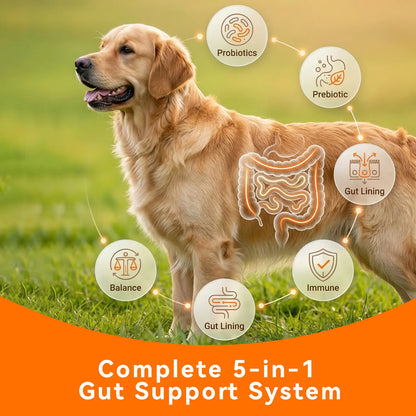 Puainta Probiotics for Dogs and Cats: 8 Billion CFU Digestive and Immune Support with Multi-Strain Spore-Forming Formula, Prebiotics, Gut-Lining Support, and Skin Health for Sensitive Stomachs
