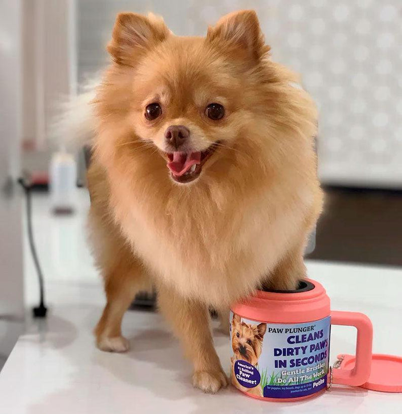 Paw Plunger Pink - Gentle Paw Cleaning Solution for a Pristine Home and Vehicle (5.25" L x 3.5" W x 4" H)