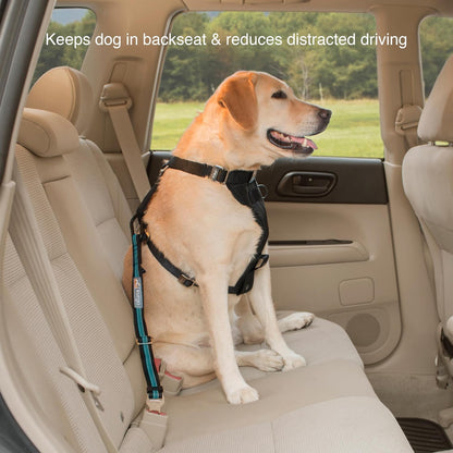 Secure Your Dog's Safety with the Adjustable Direct to Seatbelt Tether in Coastal Blue - Perfect for All Car Rides!