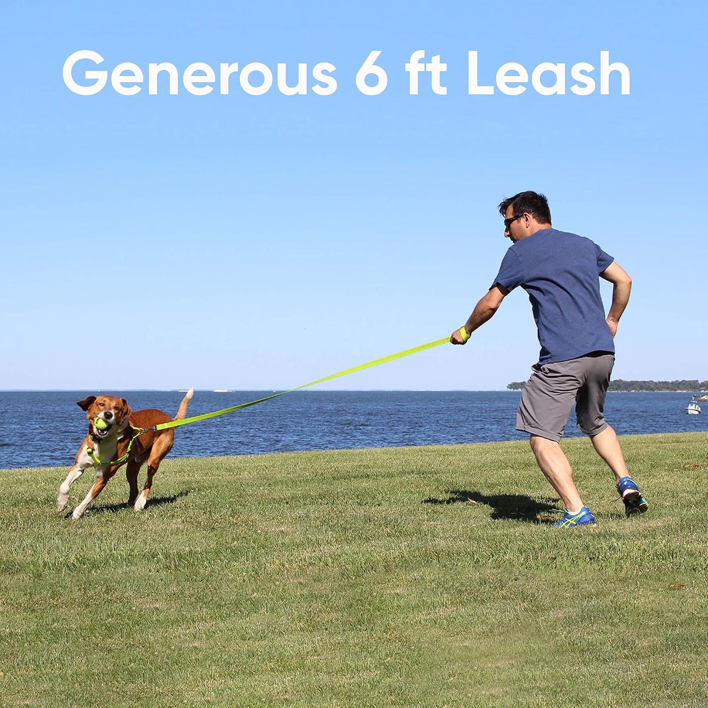 Vibrant Orange Reflective Dog Leash - 6 Ft Durable & Lightweight Lead for Medium to Large Dogs and Puppies