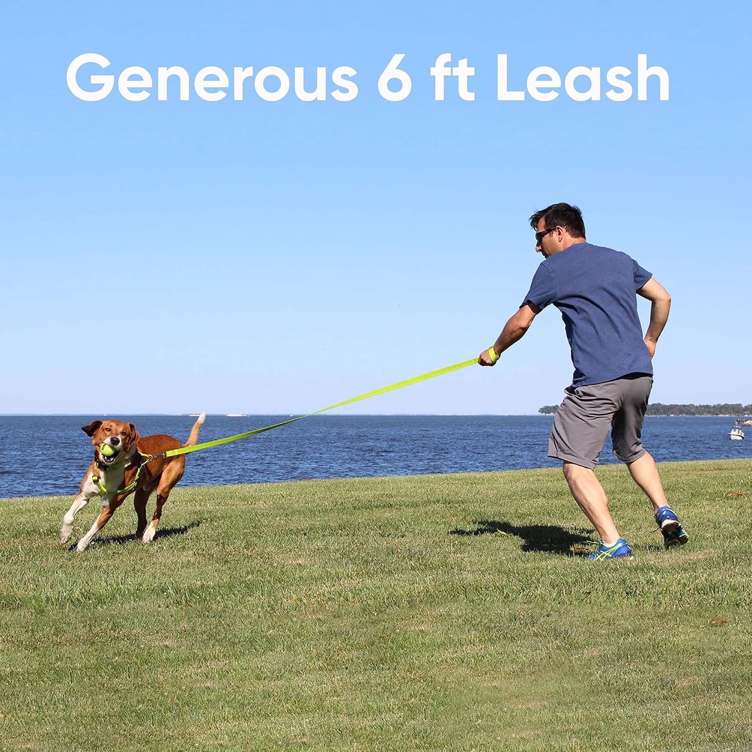 Vibrant Orange Reflective Dog Leash - 6 Ft Durable & Lightweight Lead for Medium to Large Dogs and Puppies