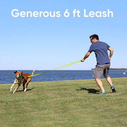 Vibrant Orange Reflective Dog Leash - 6 Ft Durable & Lightweight Lead for Medium to Large Dogs and Puppies