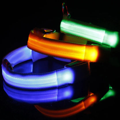 Adjustable Waterproof LED Dog Collar with Flashing Light for Improved Pet Safety