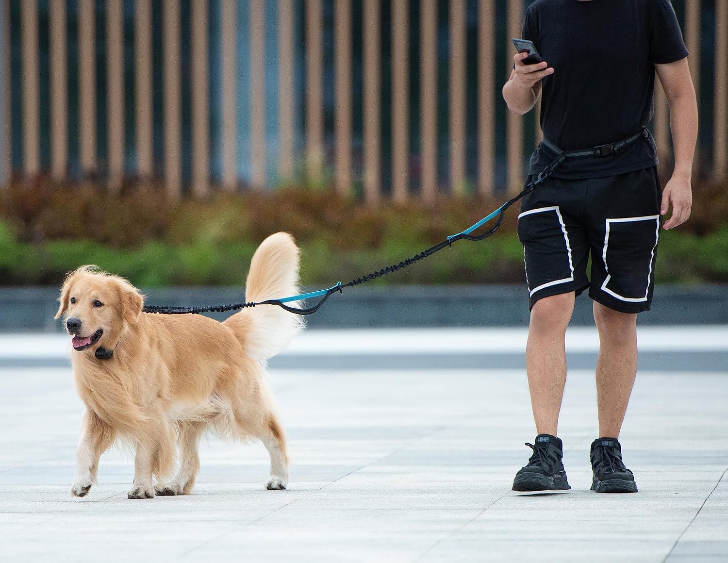 Ultimate Hands-Free Dog Leash with Zipper Pouch - Dual Padded Handles and Shock-Absorbing Bungee for Effortless Walking, Jogging, and Running (Medium, 8-25 Lbs, Black)