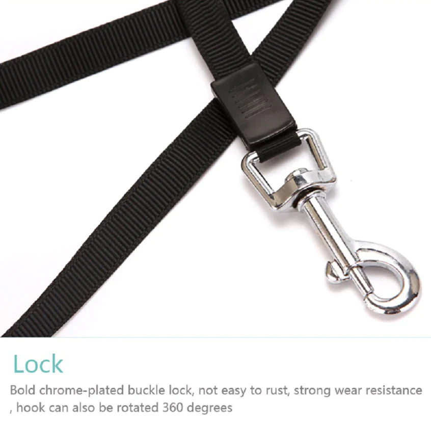 16.5FT Automatic Retractable Dog Leash with Pet Collar - Hands-Free Walking Solution, Complimentary Shipping within the US