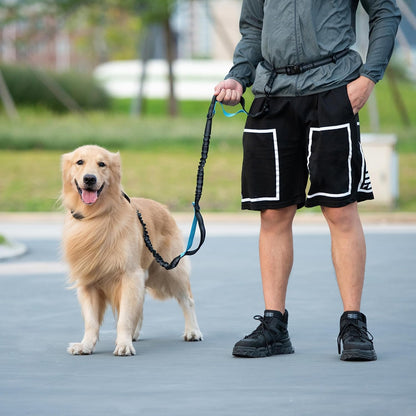 Ultimate Hands-Free Dog Leash with Zipper Pouch - Dual Padded Handles and Shock-Absorbing Bungee for Effortless Walking, Jogging, and Running (Medium, 8-25 Lbs, Black)