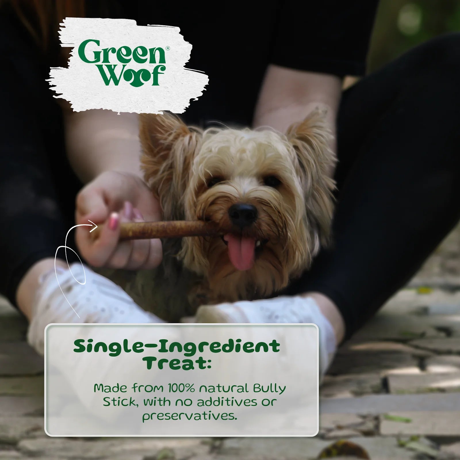 Straight Bully Sticks Natural Dog Chews