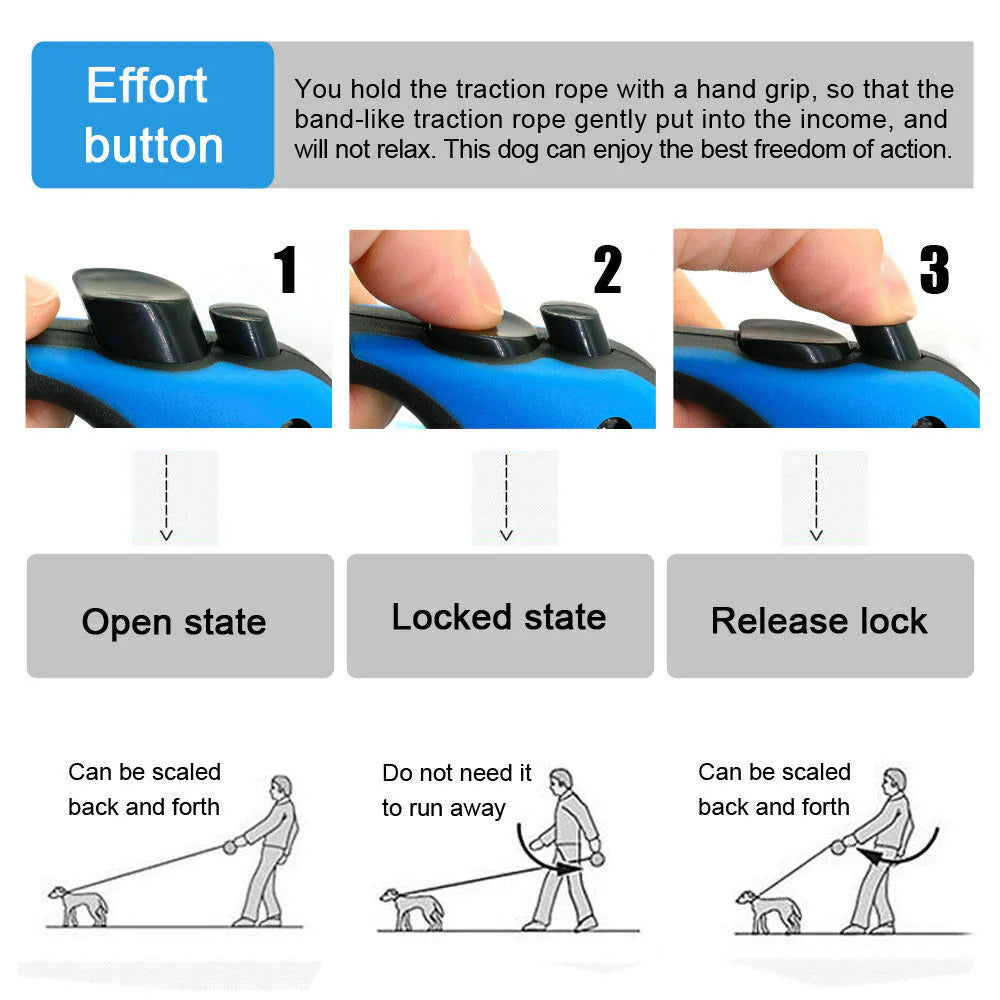 16.5FT Automatic Retractable Dog Leash with Pet Collar - Hands-Free Walking Solution, Complimentary Shipping within the US