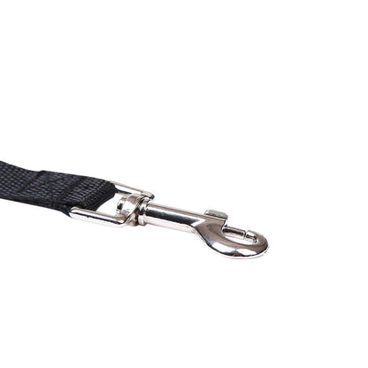 Premium Long Dog Training Leash for Obedience and Recall - Multiple Length Options (6/15/23/33/50/100 FT)