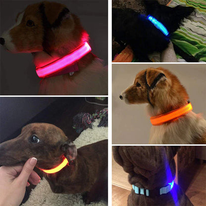 Adjustable Waterproof LED Dog Collar with Flashing Light for Improved Pet Safety