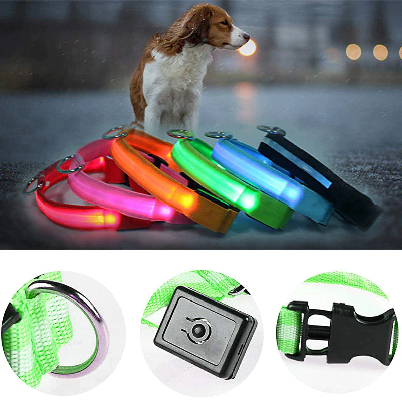 Adjustable Waterproof LED Dog Collar with Flashing Light for Improved Pet Safety