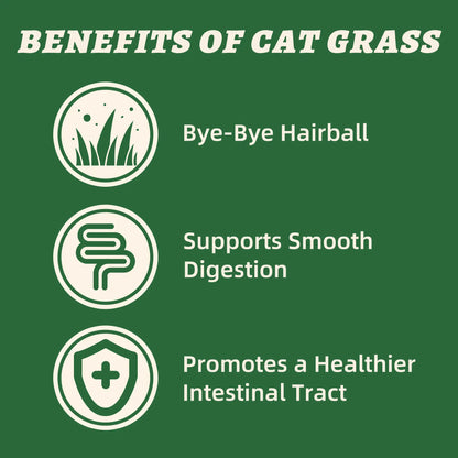 Wellix 7.5Oz Freeze-Dried Chicken Formula Cat Grass Food Topper for Cats and Dogs - Enriched with Egg Yolk and Cat Grass for Hairball Control and Gut Health - Low Calorie and Nutritious