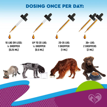 Premium Multivitamin Liquid Supplement for Cats and Dogs with Glucosamine and Cranberry Extract