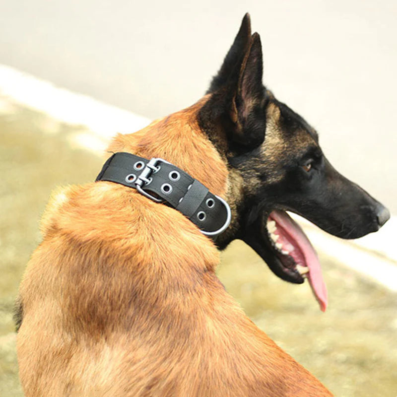 Heavy-Duty 2-Inch Nylon Tactical Dog Collar for Large Breeds with Metal Buckle