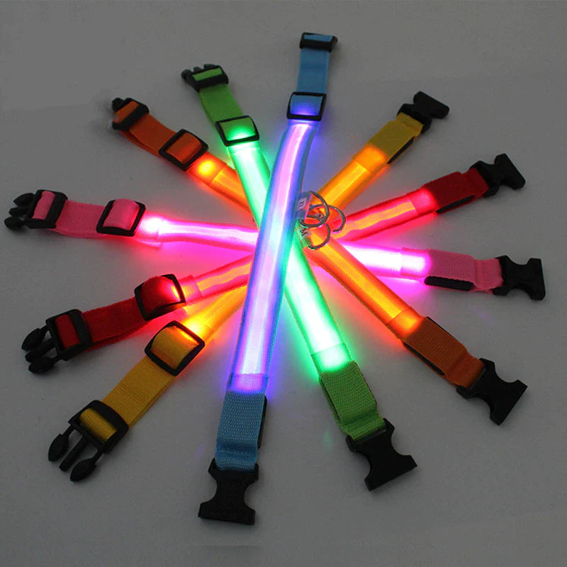 Adjustable Waterproof LED Dog Collar with Flashing Light for Improved Pet Safety