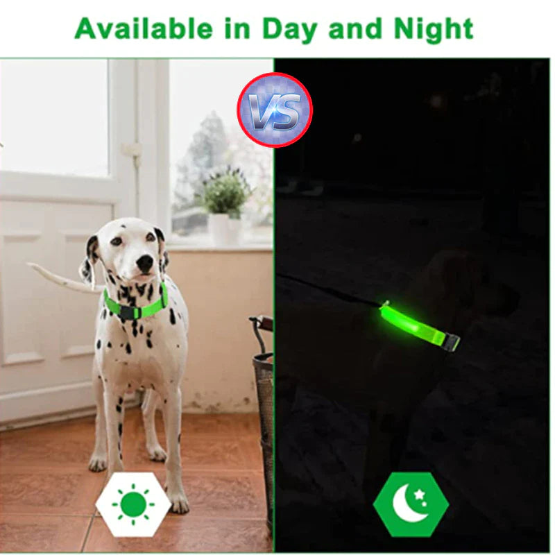 Adjustable Waterproof LED Dog Collar with Flashing Light for Improved Pet Safety