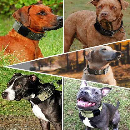Heavy-Duty 2-Inch Nylon Tactical Dog Collar for Large Breeds with Metal Buckle