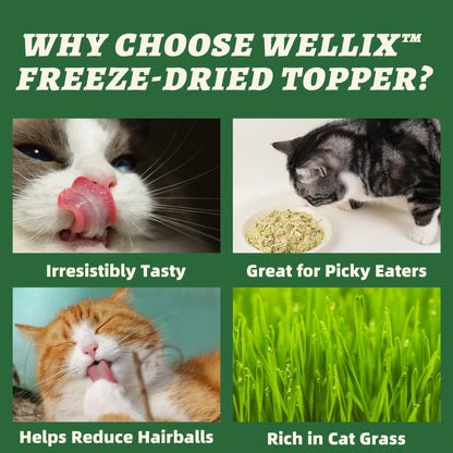 Wellix 7.5Oz Freeze-Dried Chicken Formula Cat Grass Food Topper for Cats and Dogs - Enriched with Egg Yolk and Cat Grass for Hairball Control and Gut Health - Low Calorie and Nutritious
