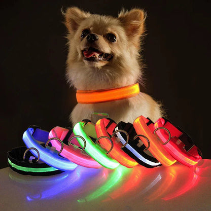 Adjustable Waterproof LED Dog Collar with Flashing Light for Improved Pet Safety