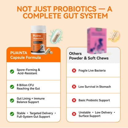 Puainta Probiotics for Dogs and Cats: 8 Billion CFU Digestive and Immune Support with Multi-Strain Spore-Forming Formula, Prebiotics, Gut-Lining Support, and Skin Health for Sensitive Stomachs