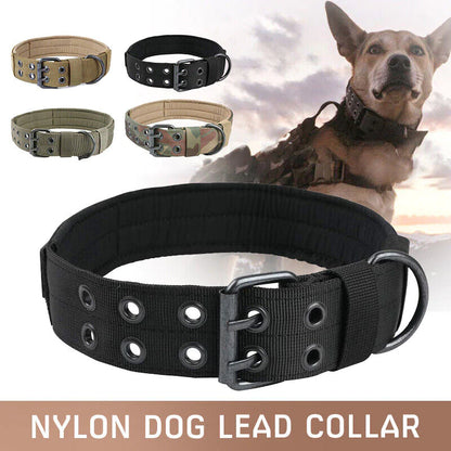 Heavy-Duty 2-Inch Nylon Tactical Dog Collar for Large Breeds with Metal Buckle