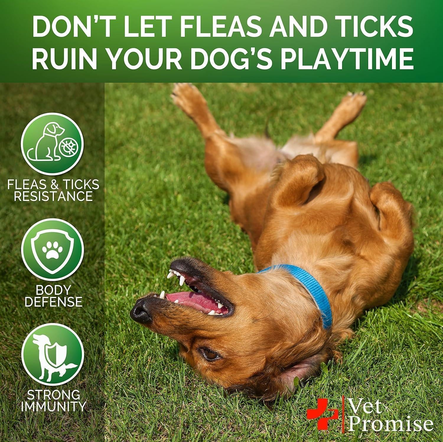 Flea and Tick Prevention for Dogs Chews Natural Dog Flea and & Tick Control Advanced Oral Pills Supplement Treatment for All Breeds & Size Vet Formulated Soft Chewables Made in USA